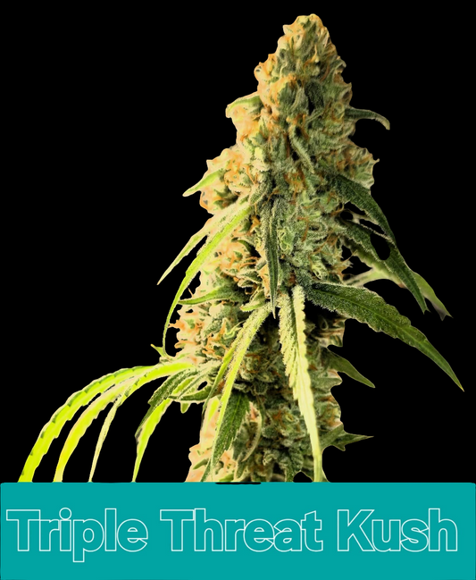 Triple Threat Kush